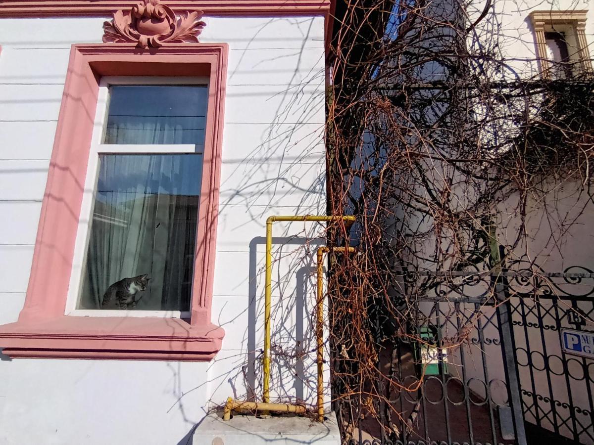 Апартаменты Casa Liveni Бухарест Экстерьер фото